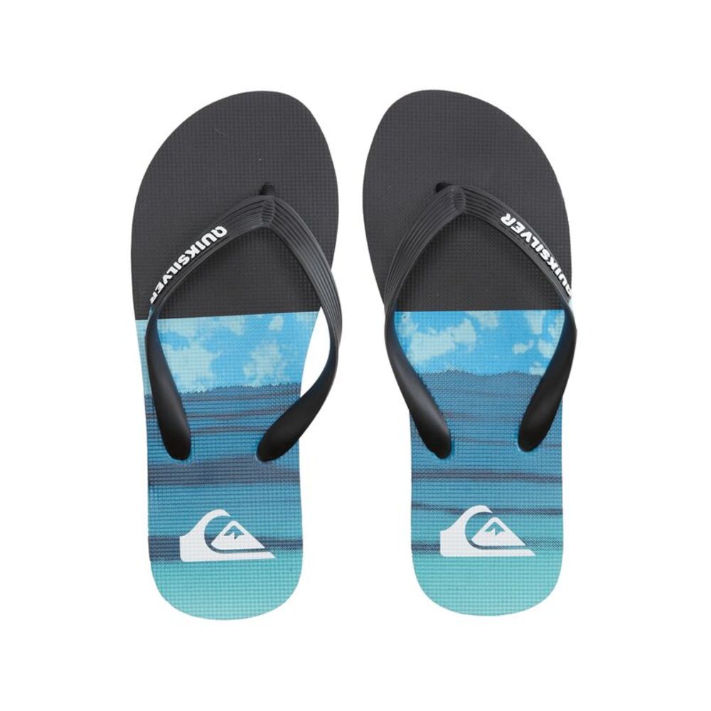 Quiksilver Men's Molokai Panel Flip-Flops
